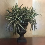 Artificial Spider Plant