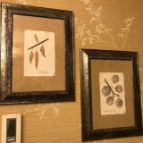 Pair of Pretty Framed Pictures