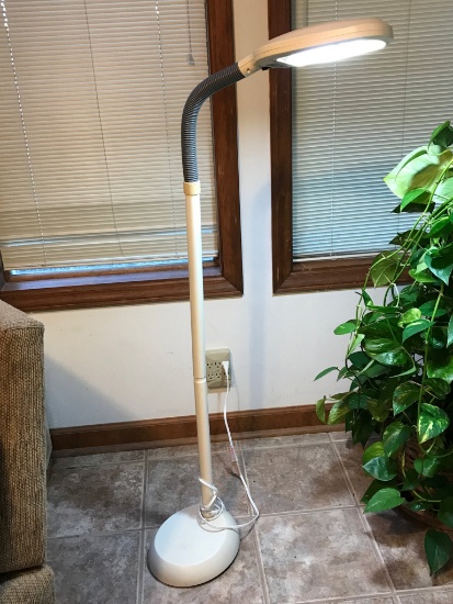 Fluorescent Floor Lamp