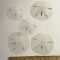 Lot of 5 Sand Dollars