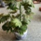 Artificial House Plant