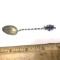 Vintage Sterling Silver Collector's Spoon