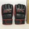 UFC Ultimate Fighting Sparring Gloves