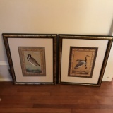 Pair of Framed Bird Prints