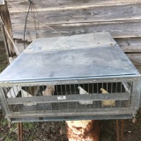 G.Q.F. Box Brooder for Young Birds