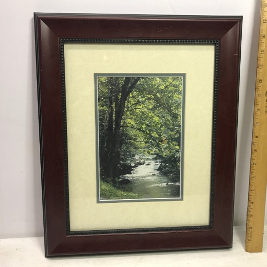 Framed Photograph by Robbin M. McCarter