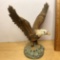 Vintage Andrea by Sadek Porcelain Eagle Figurine