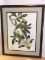Framed, Matted & Numbered “Carolina Paroquet” Double Signed Print by Anne Worsham Richardson