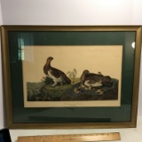 Vintage Framed & Matted “Willow Grous or Large Ptarmigan Numbered Print