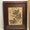 Vintage Arthur Singer Bird Print in Frame