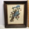 Vintage Blue Jay Print in Wooden Frame
