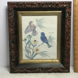 Vintage Anne Worsham Richardson Print Grosbeaks Print in Ornate Frame