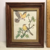 Vintage Anne Worsham Richardson Yellow-Breasted Chat Print in Frame