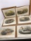 Lot of 6 Vintage John Gould Duck Prints - Sealed on Board