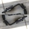 Pair of THULE Roof Racks