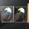 Pair of 1980 Eagle Pictures