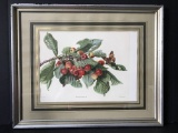 Framed & Matted Cherry Branch Print