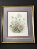 Framed & Matted “Queen-Anne Lace” Signed Van Hoose & Numbered Print 122/500