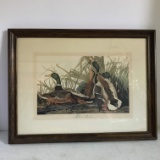 Vintage Wooden Framed “Mallard Duck” Print Talio-Chrome Reproduction