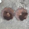 Pair of Vintage 17” Plow Discs