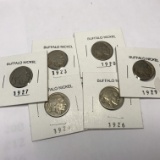 Lot of 6 Buffalo Nickels 1920-1929