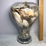 Large Heavy Glass Lidded Urn with Many Unique Shells