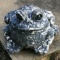 Adorable Outdoor Frog Figurine Made of Plastic