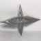 Ninja Throwing Star with Carrying Case