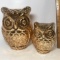 Pair of Adorable Glass Owl Lights