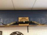 52” Long Horn