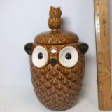 Adorable Pier One Stoneware Owl Cookie Jar