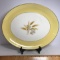 Vintage Semi Vitreous Dinnerware Autumn Gold Platter Alliance Ohio, Century Service Corp.