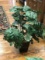 3 ft Artificial Plant