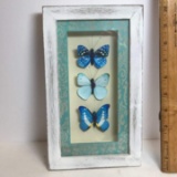 Pretty Blue Butterfly Shadow Box