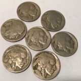 Lot of 7 Buffalo Nickels