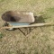 Wheelbarrow