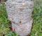 2 Rolls of Barbed Wire