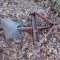 Sub Soil Ripper 3Pt