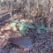 (2) Bottom turning Plow 3Pt