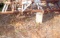 6 Ft Spring Tooth Cultivator 3 pt