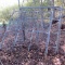Fence Panels