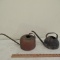 Watering Cans - One Copper & One Steel