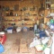 Shed Lot #2
