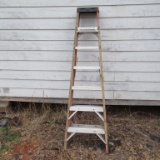 Werner Fiberglass Stepladder