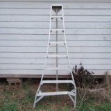 Aluminum Tripod Ladder
