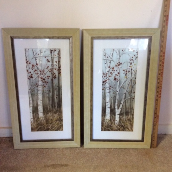 Pair of Birch Tree Prints