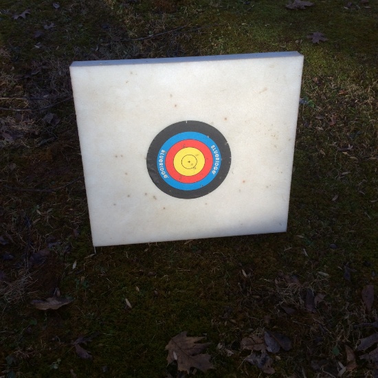 Foam Archery Target