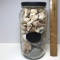 Tall Jar of Misc Shells