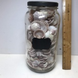 Tall Jar of Misc Shells