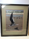 Seagull Print by John H Dick Framed & Matted